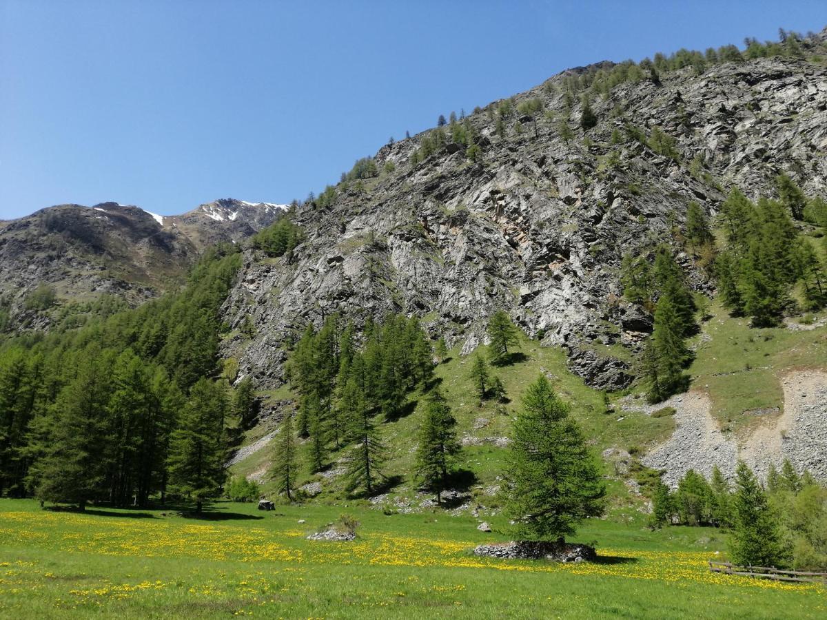 Appartamenti Lucianaz Rhêmes-Notre-Dame Dış mekan fotoğraf